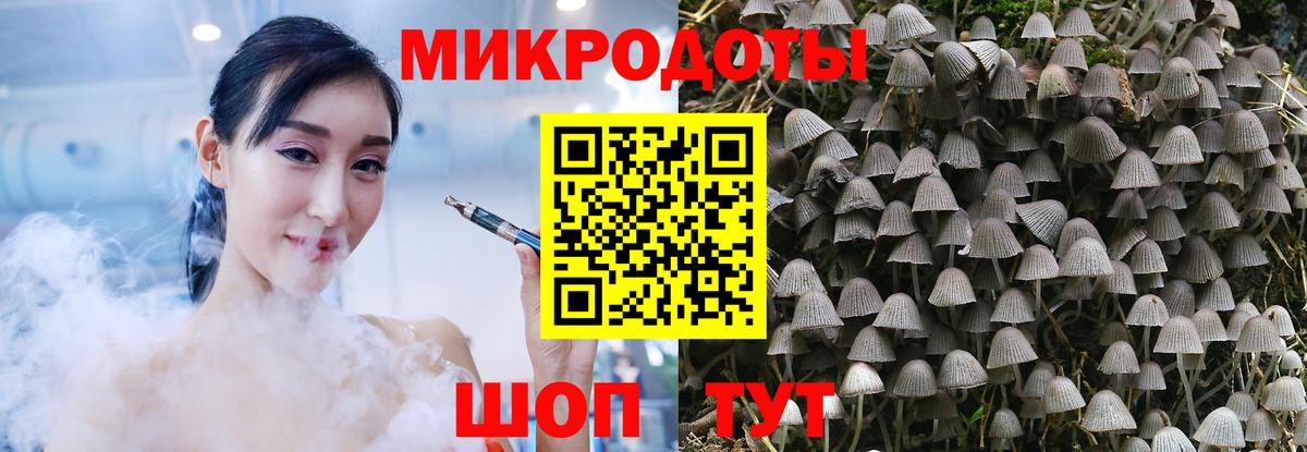Тара  Галлюциногенные грибы Psilocybine cubensis  Вход с VPN  Псилоцибиновые грибы Cubensis 