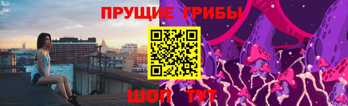 Галлюциногенные грибы Psilocybine cubensis Тара